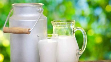 نقابة الفلاحين : الزيادة ب200 مليم في سعر الحليب غير كافية FB IMG 1677858232091 390x220