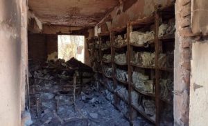بعد إحراق أهم مكتباتها السودان تفقد آلاف المخطوطات و المؤلفات النادرة 001 1684599192 780x470 1 300x181