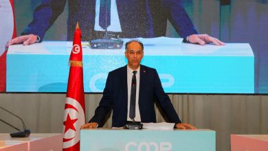 وزير التعليم العالي: تونس متقدمة في مجال البحث واكتسبت إشعاعا دوليا ثابتا FB IMG 1684876480547 390x220