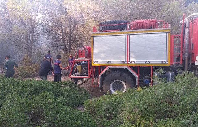 وزارة الفلاحة تؤكد أنه تمّت السيطرة على الحرائق التي نشبت في الغابات من ولايات ببنزرت وباجة وجندوبة nadour incendie