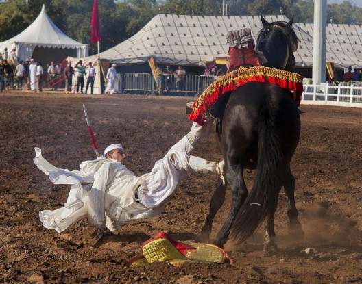 خلال مهرجان الفروسية بسيدي بوزيد: حصان يدهس كهلا ويرديه قتيلا 1659735455